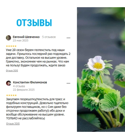 Укрывной материал для клубники