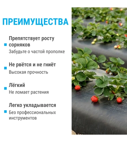 Укрывной материал для клубники