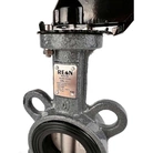 Затвор дисковый поворотный REON тип RSV85 с алюминиевой рукояткой (уплотнение NBR, диск AISI316)