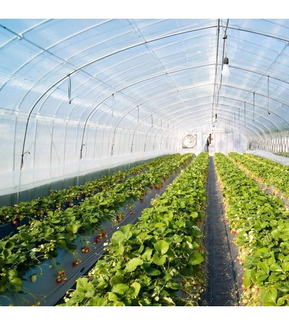 Прозрачная полиэтиленовая техническая плёнка для строительных работ 300 мкм